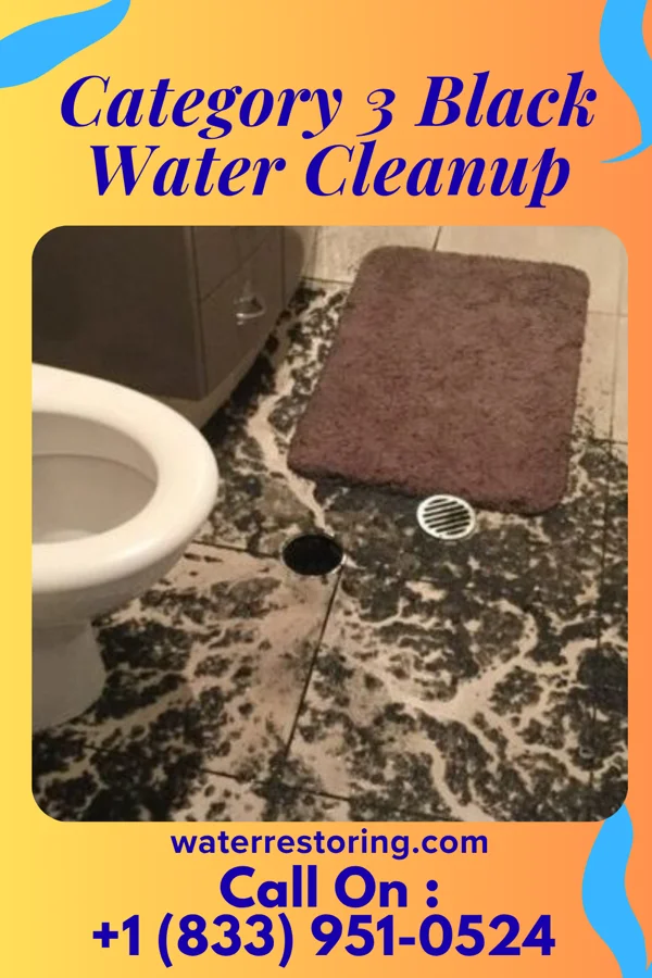 Category 3 Black Water Cleanup in Lapeer, MI
