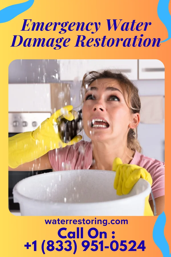 Emergency Water Damage Restoration in Lapeer, MI