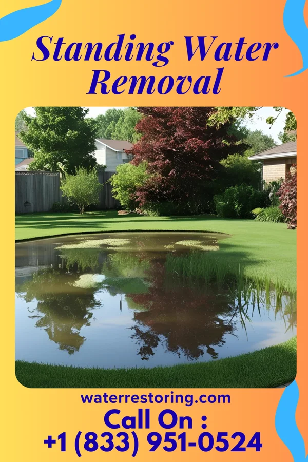 Standing Water Removal in Lapeer, MI